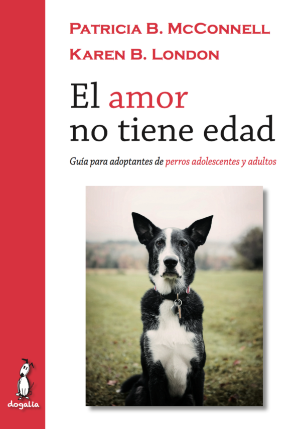 El amor no tiene edad. Guía para adoptantes de perros... 